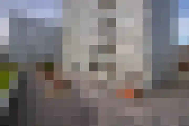 Thomas Ettylaan 56 Arnhem thumbnail 5