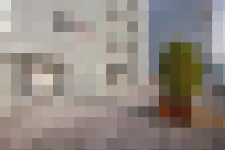 Thomas Ettylaan 56 Arnhem thumbnail 7