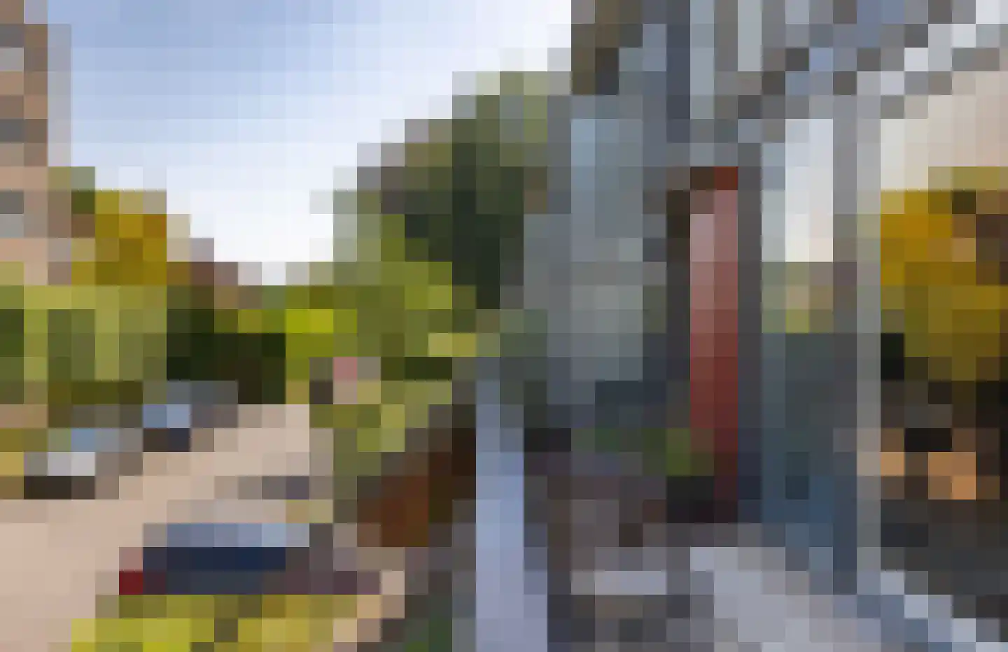 Thomas Ettylaan 8 Arnhem thumbnail 5