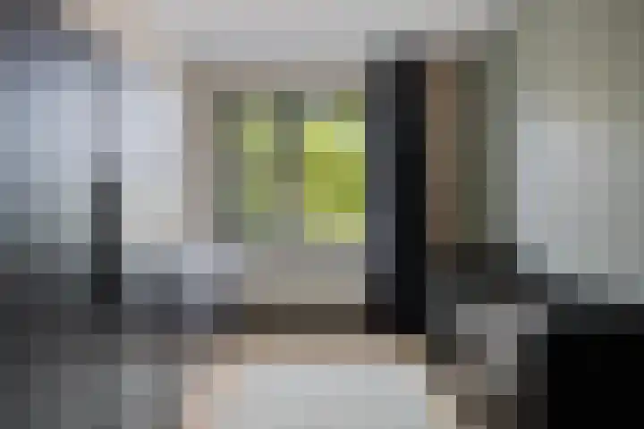 Thomas J. Witteroosstraat 39 Arnhem thumbnail 26