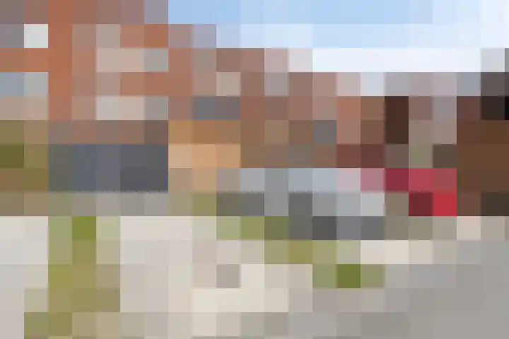 Thomas J. Witteroosstraat 39 Arnhem thumbnail 41