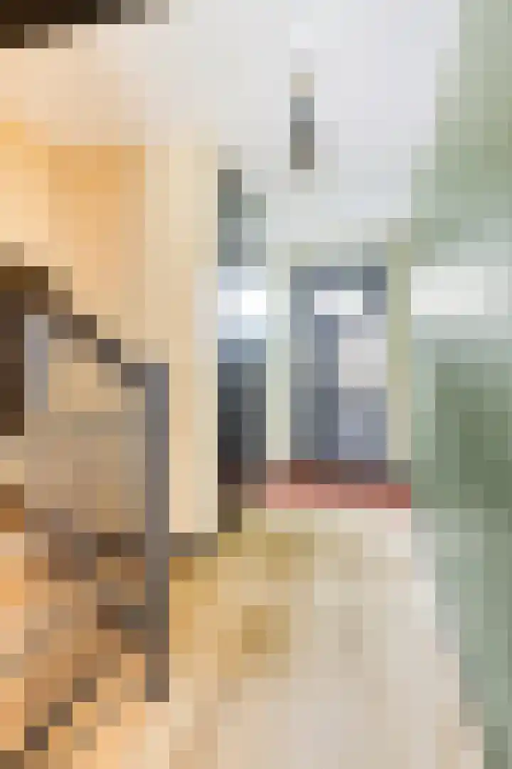Thomas J. Witteroosstraat 39 Arnhem thumbnail 9