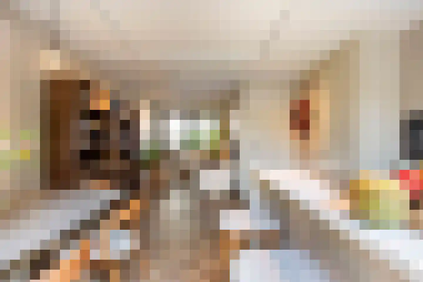 Thomas J. Witteroosstraat 9 Arnhem thumbnail 13