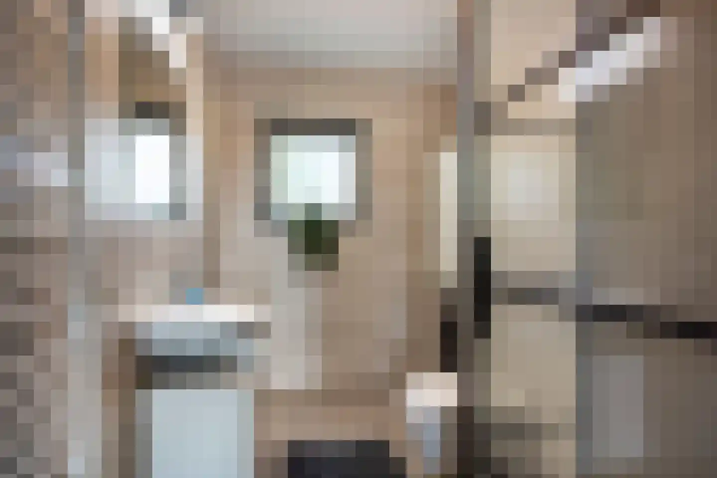 Thomas J. Witteroosstraat 9 Arnhem thumbnail 15