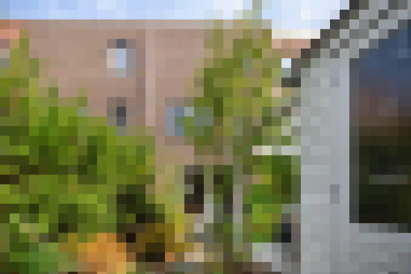 Thomas J. Witteroosstraat 9 Arnhem thumbnail 28