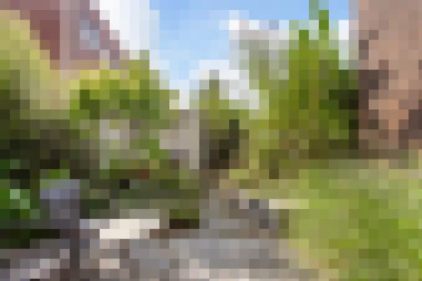 Thomas J. Witteroosstraat 9 Arnhem thumbnail 29