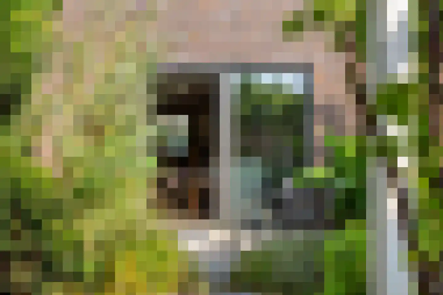 Thomas J. Witteroosstraat 9 Arnhem thumbnail 30