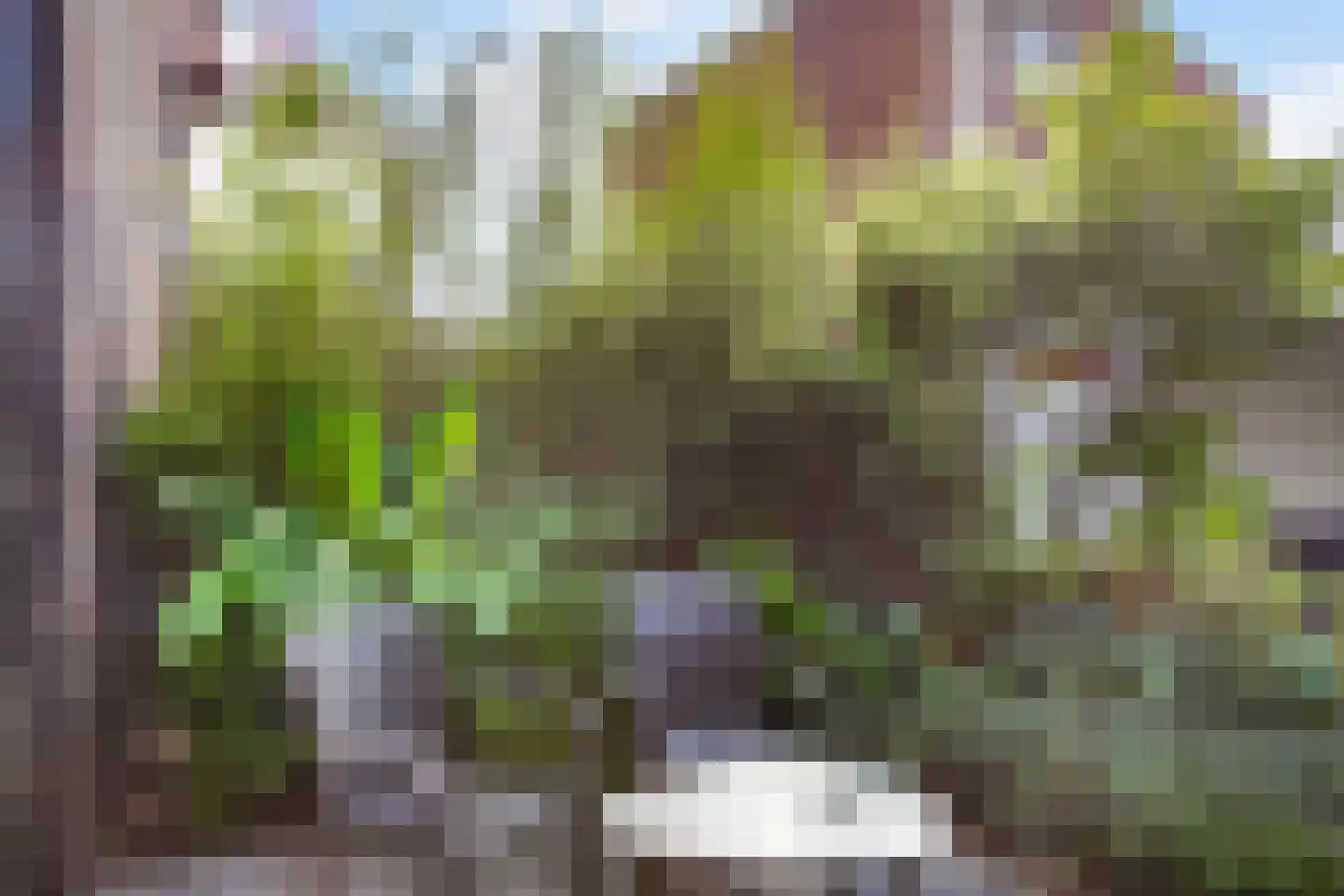 Thomas J. Witteroosstraat 9 Arnhem thumbnail 31