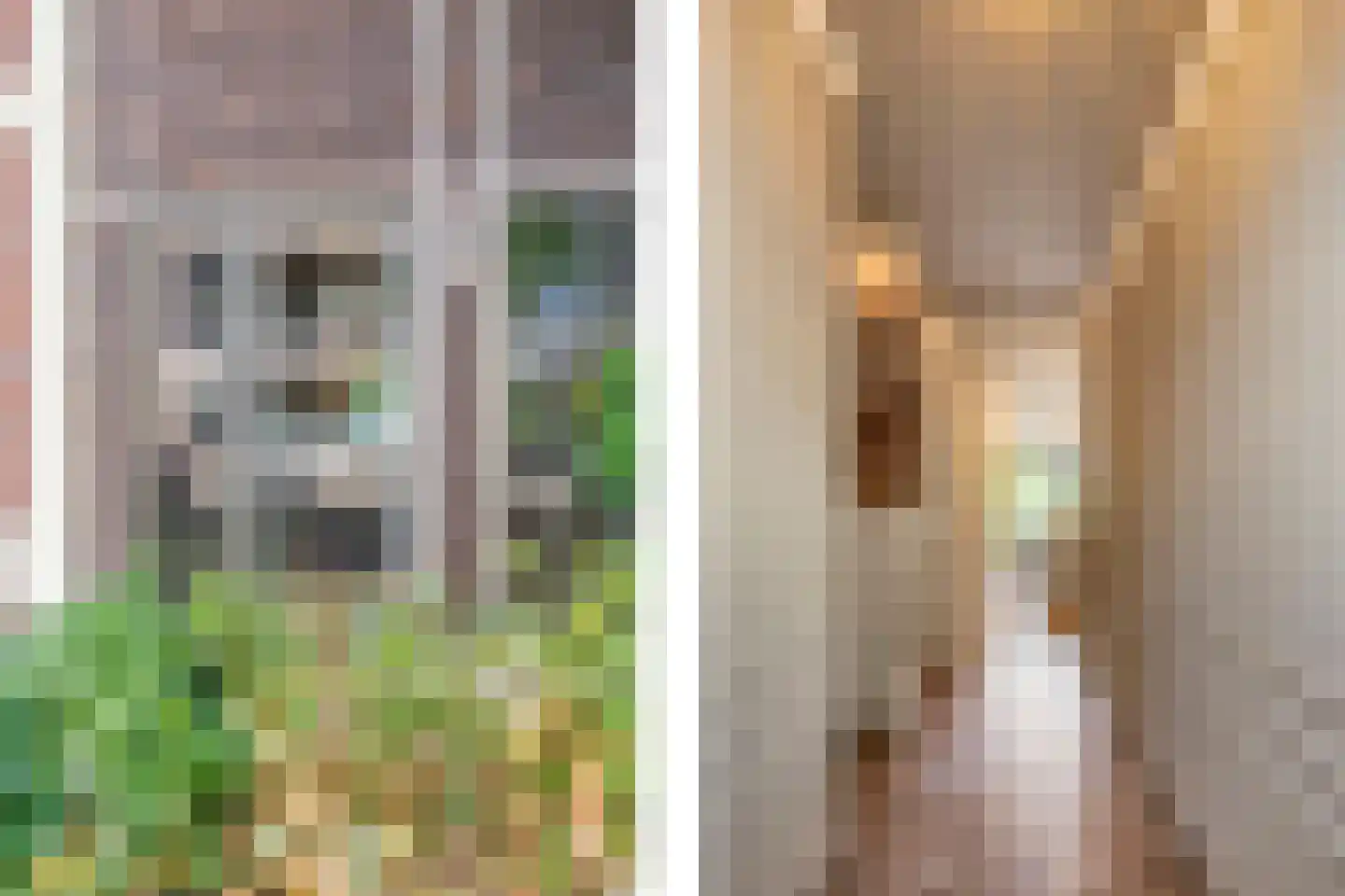 Thomas J. Witteroosstraat 9 Arnhem thumbnail 5