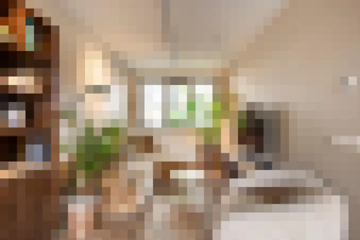 Thomas J. Witteroosstraat 9 Arnhem thumbnail 8