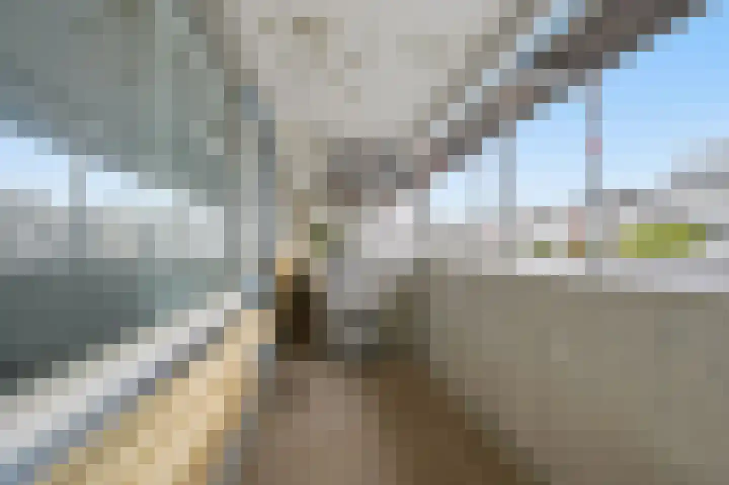 Thomas Jeffersonlaan 297 Rijswijk thumbnail 15