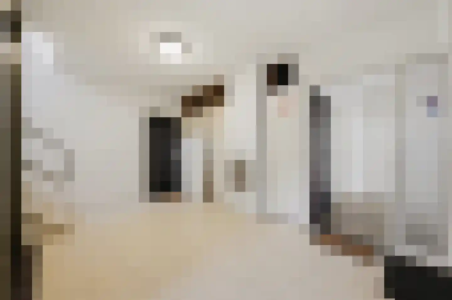 Thomas Jeffersonlaan 297 Rijswijk thumbnail 8