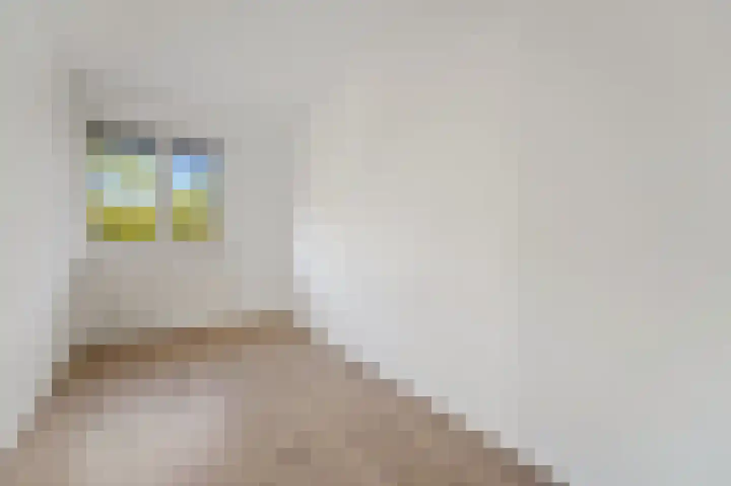 Thomas Jeffersonlaan 299 Rijswijk thumbnail 16