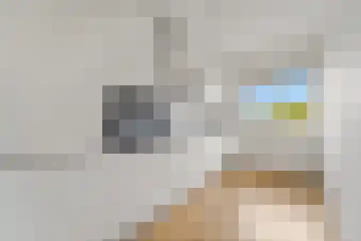 Thomas Jeffersonlaan 307 Rijswijk thumbnail 17
