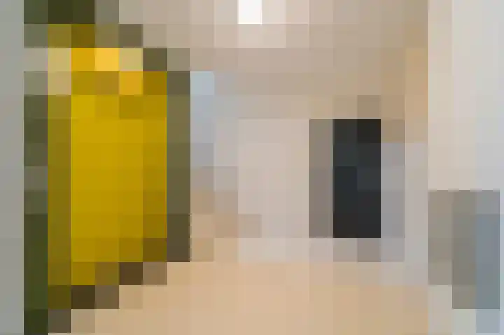 Thomas Jeffersonlaan 307 Rijswijk thumbnail 4