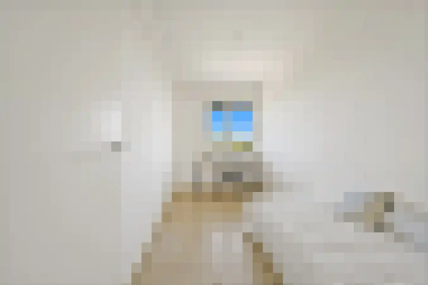 Thomas Jeffersonlaan 317 Rijswijk thumbnail 37