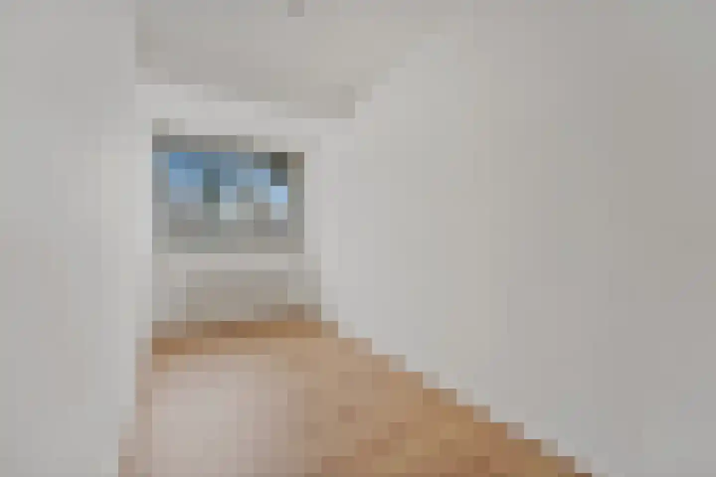 Thomas Jeffersonlaan 413 Rijswijk thumbnail 34