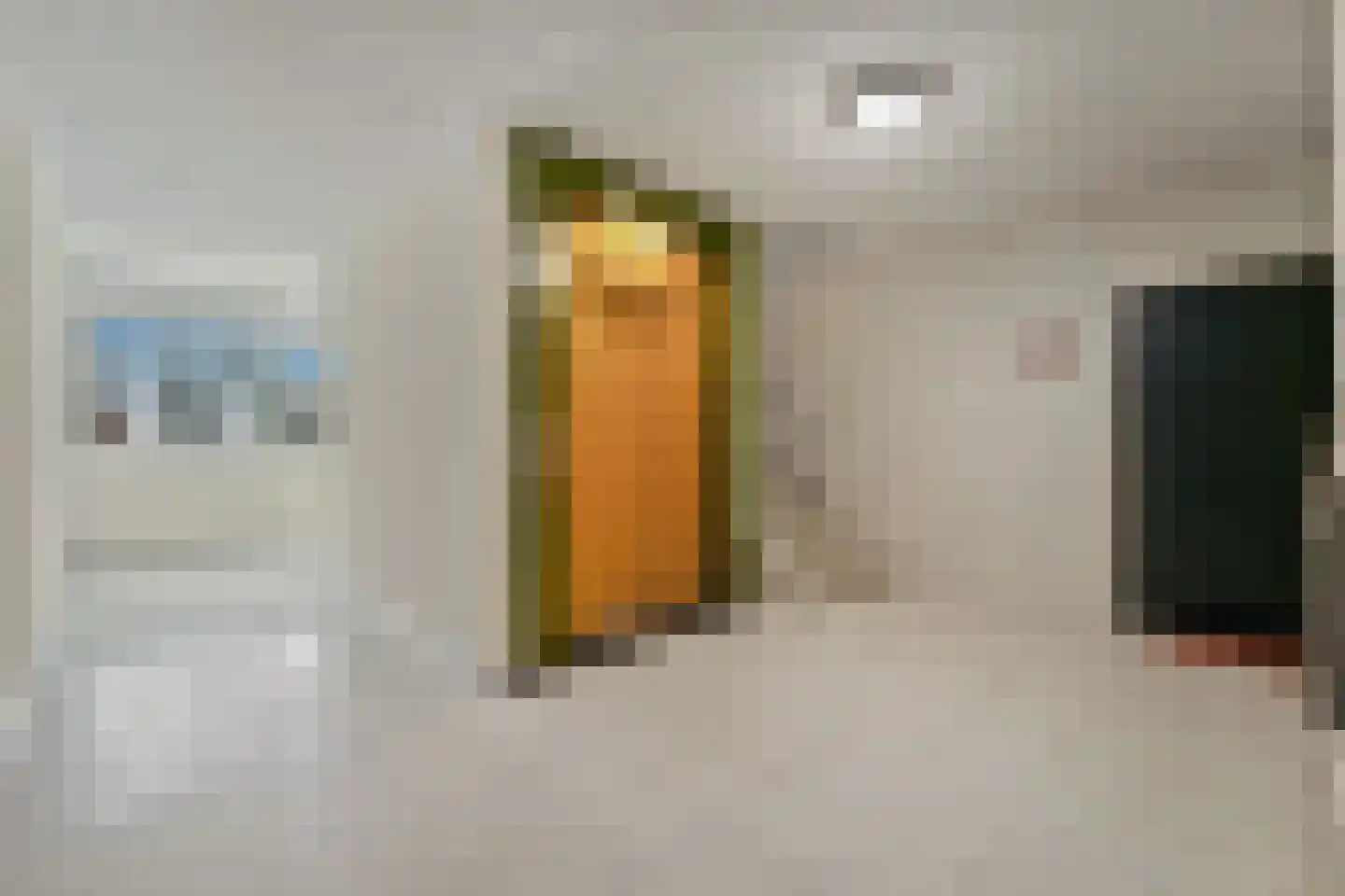 Thomas Jeffersonlaan 413 Rijswijk thumbnail 7