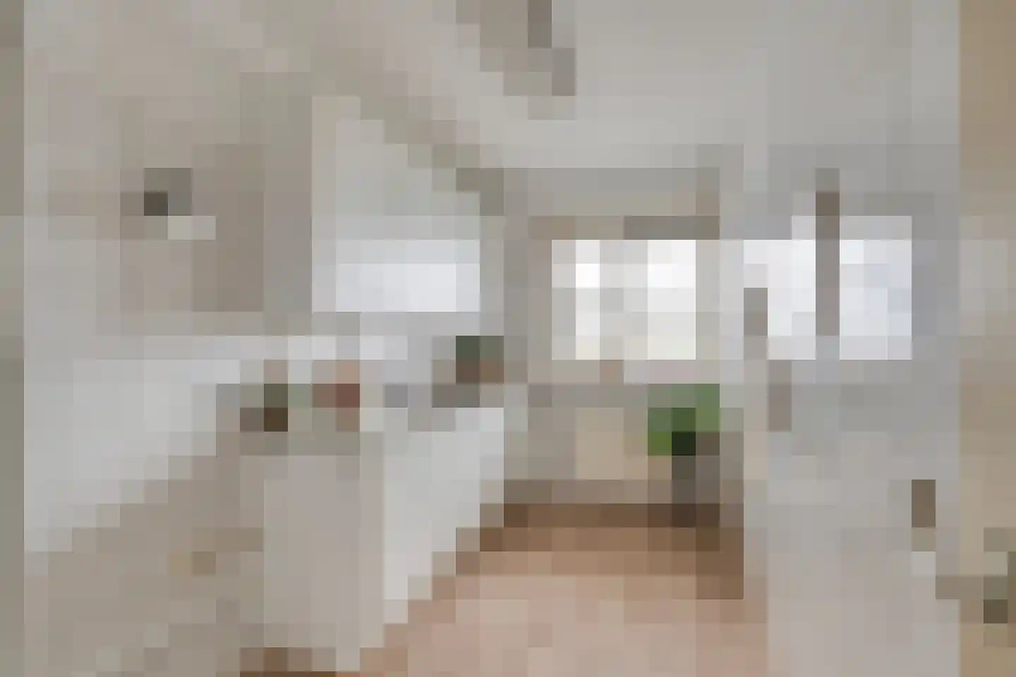 Thomas Jeffersonlaan 517 Rijswijk thumbnail 8