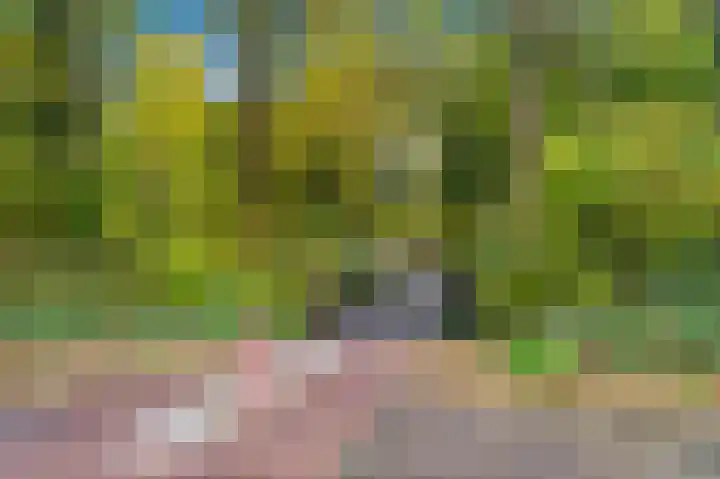 Thomas Jeffersonlaan 581 Rijswijk thumbnail 35