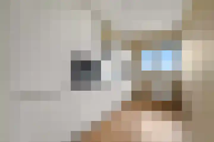 Thomas Jeffersonlaan 661 Rijswijk thumbnail 20