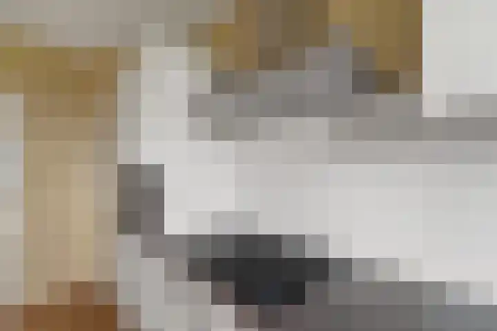 Thomas Jeffersonlaan 661 Rijswijk thumbnail 21