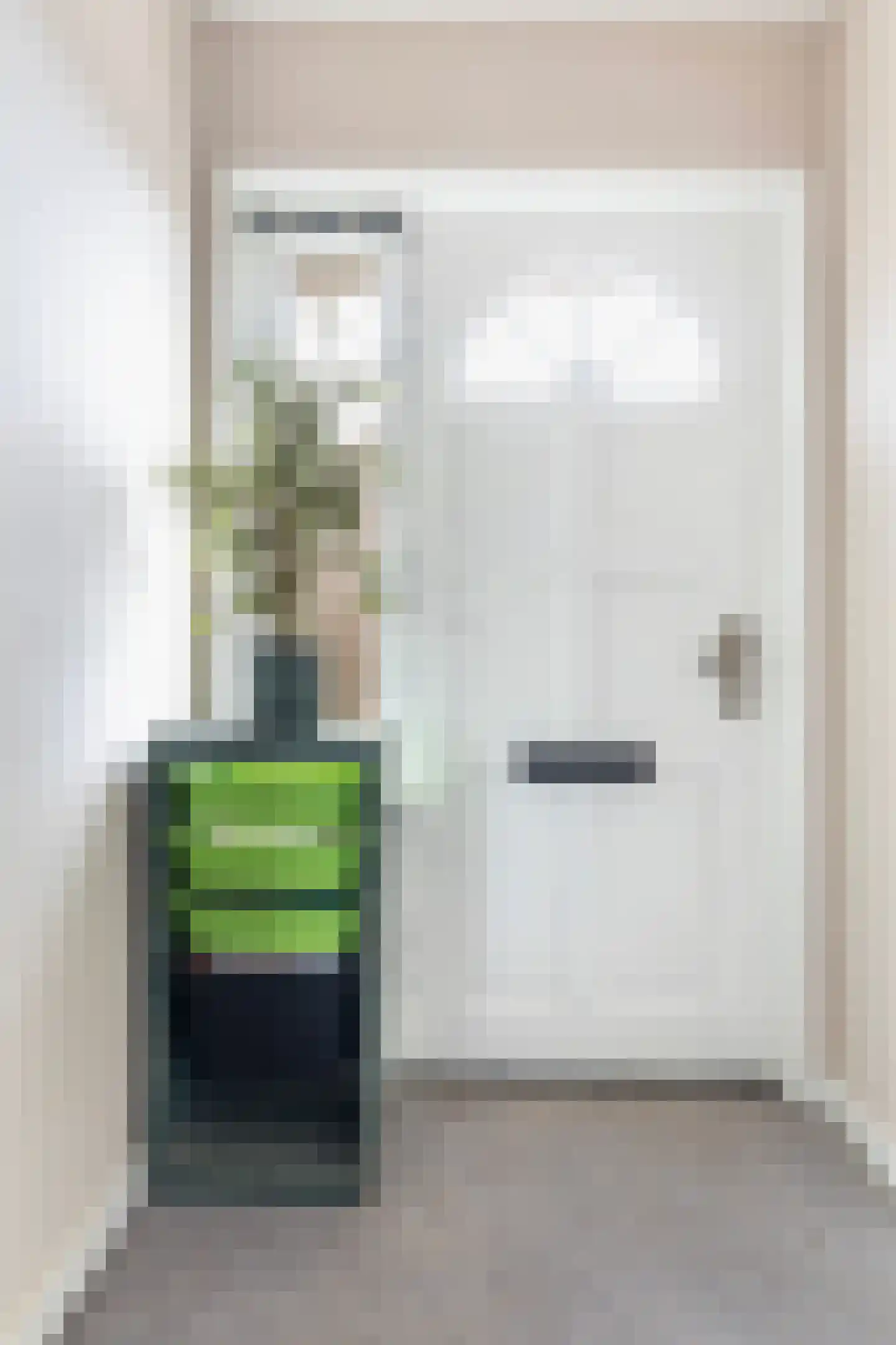 Thomas Jellesstrjitte 2 Wierum thumbnail 15