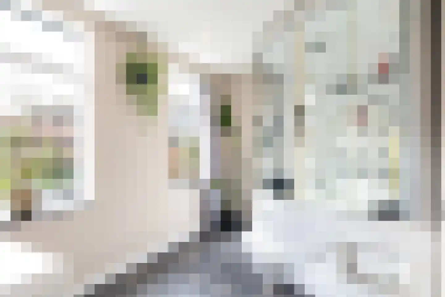 Thomas Jellesstrjitte 2 Wierum thumbnail 26