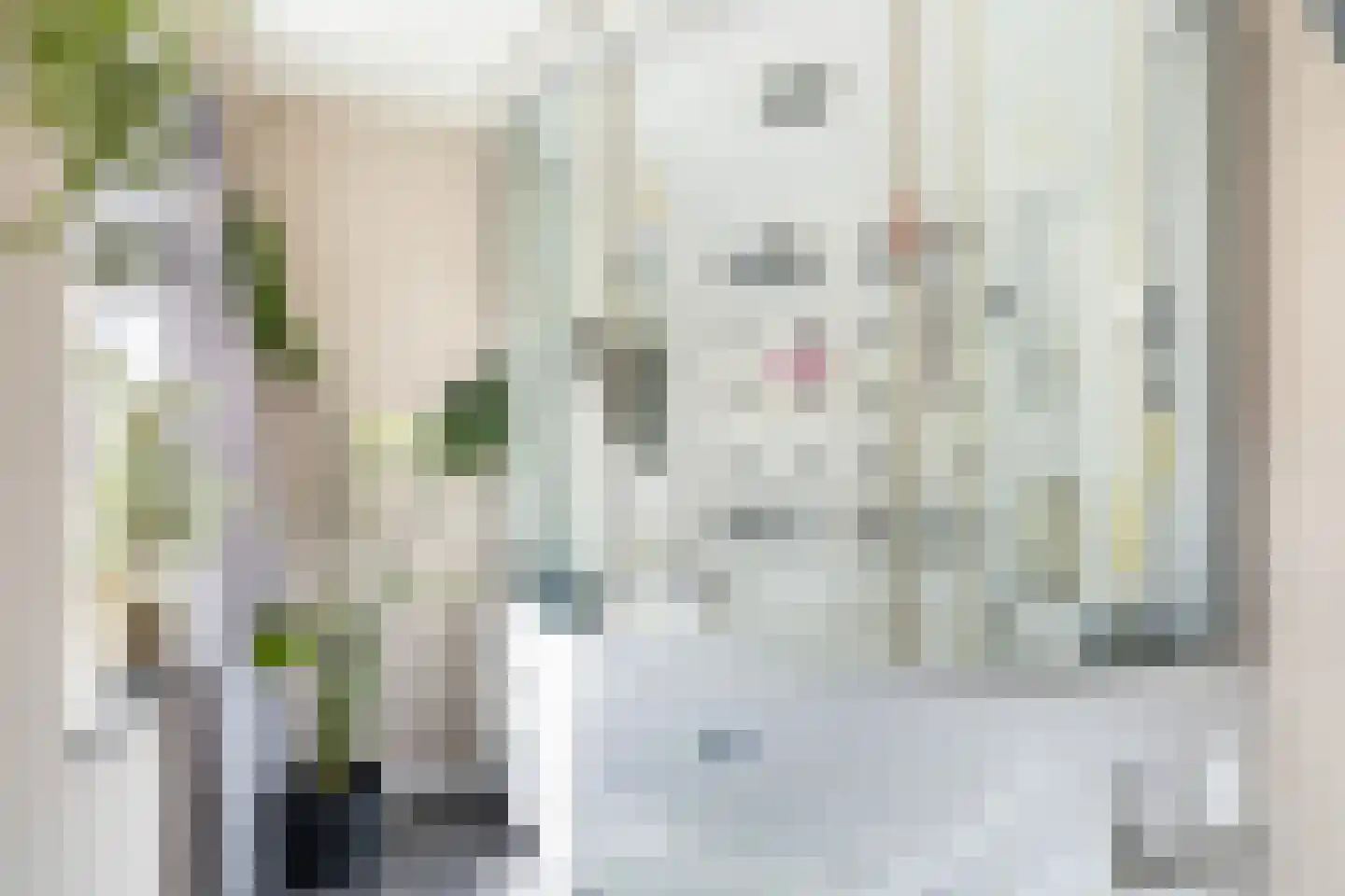 Thomas Jellesstrjitte 2 Wierum thumbnail 27