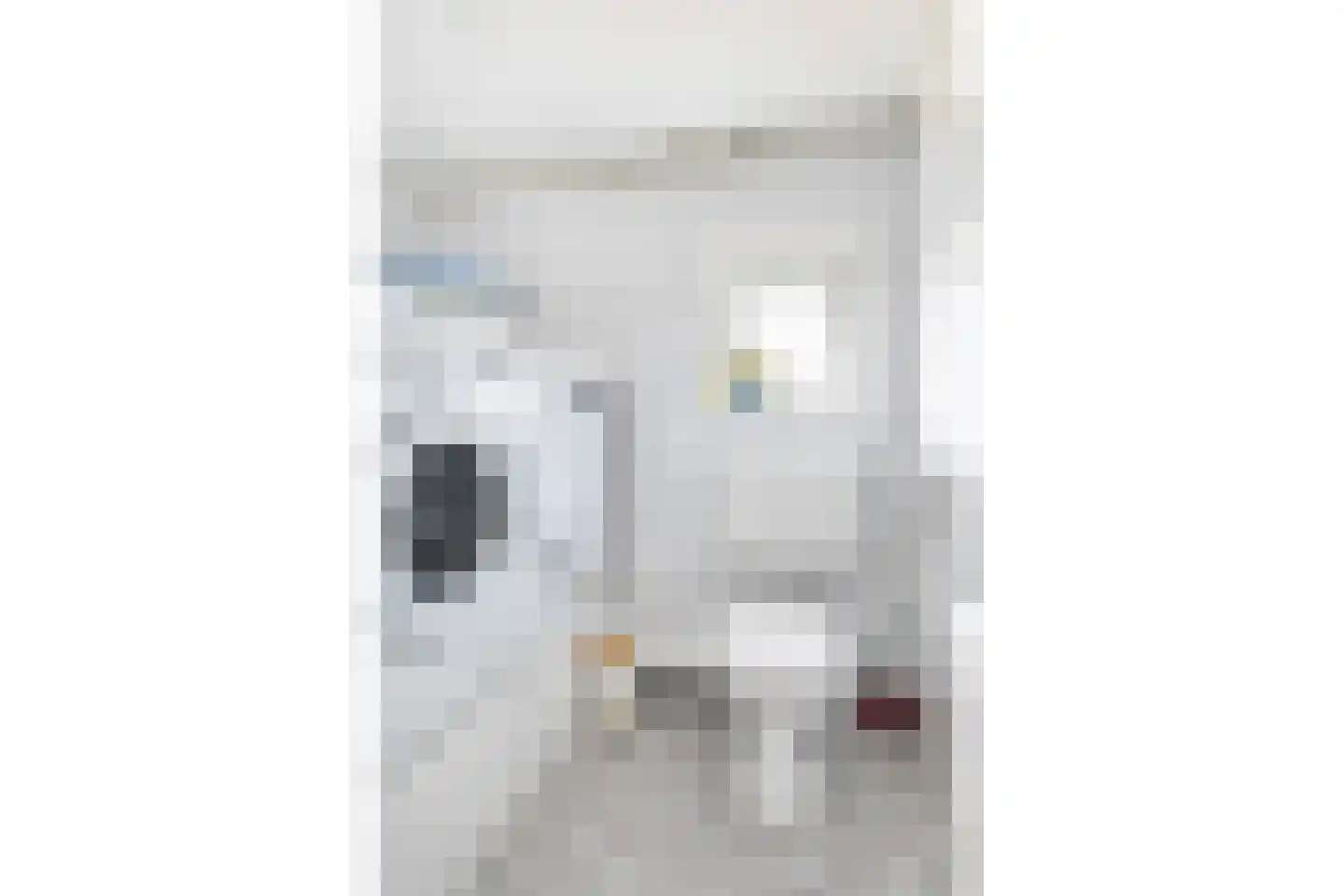 Thomas Jellesstrjitte 2 Wierum thumbnail 36