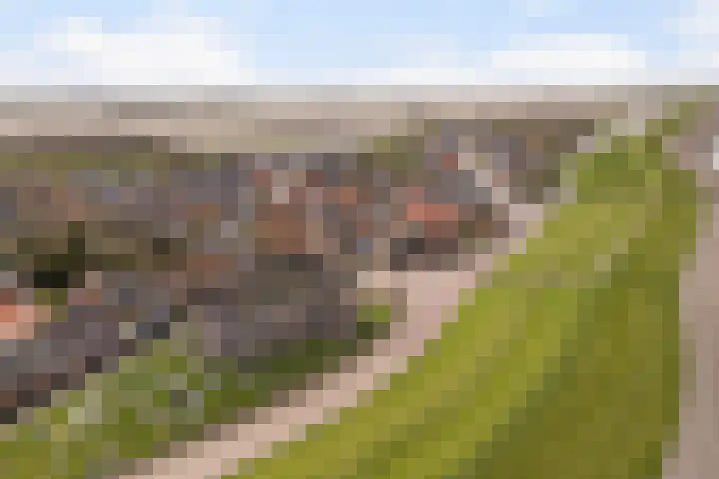 Thomas Jellesstrjitte 2 Wierum thumbnail 46