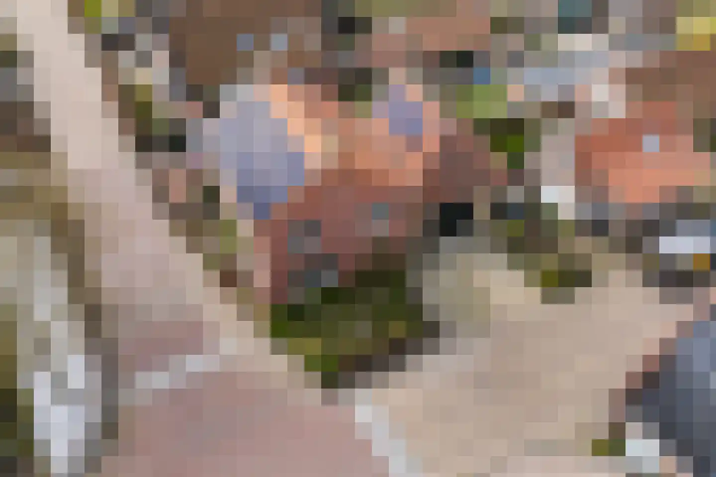 Thomas Jellesstrjitte 2 Wierum thumbnail 8