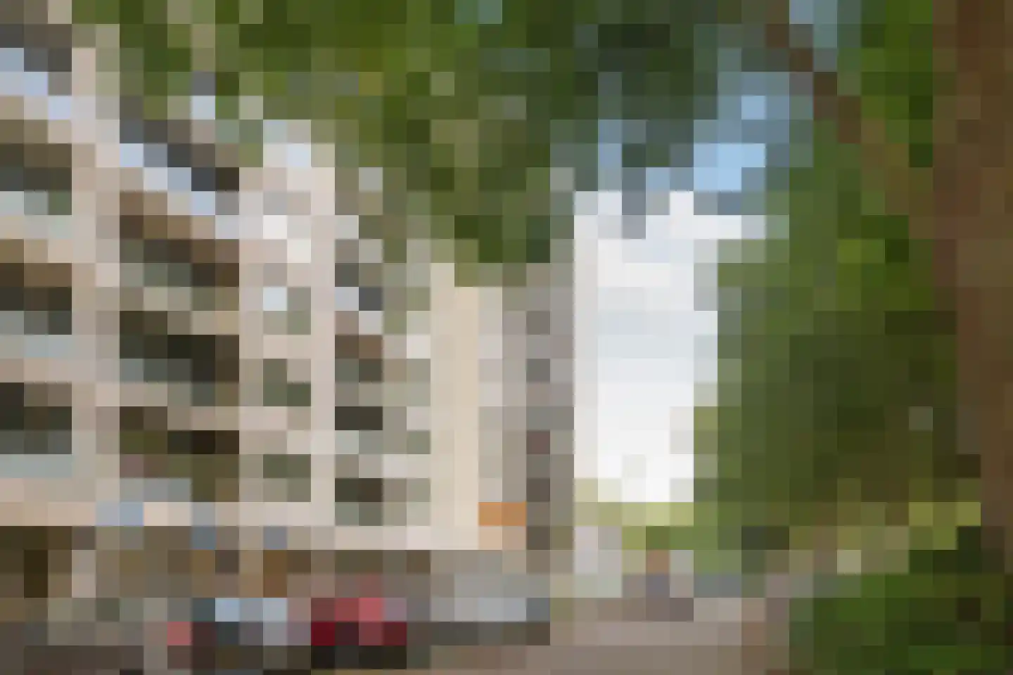 Thomas Mannplaats 404 Rotterdam thumbnail 28