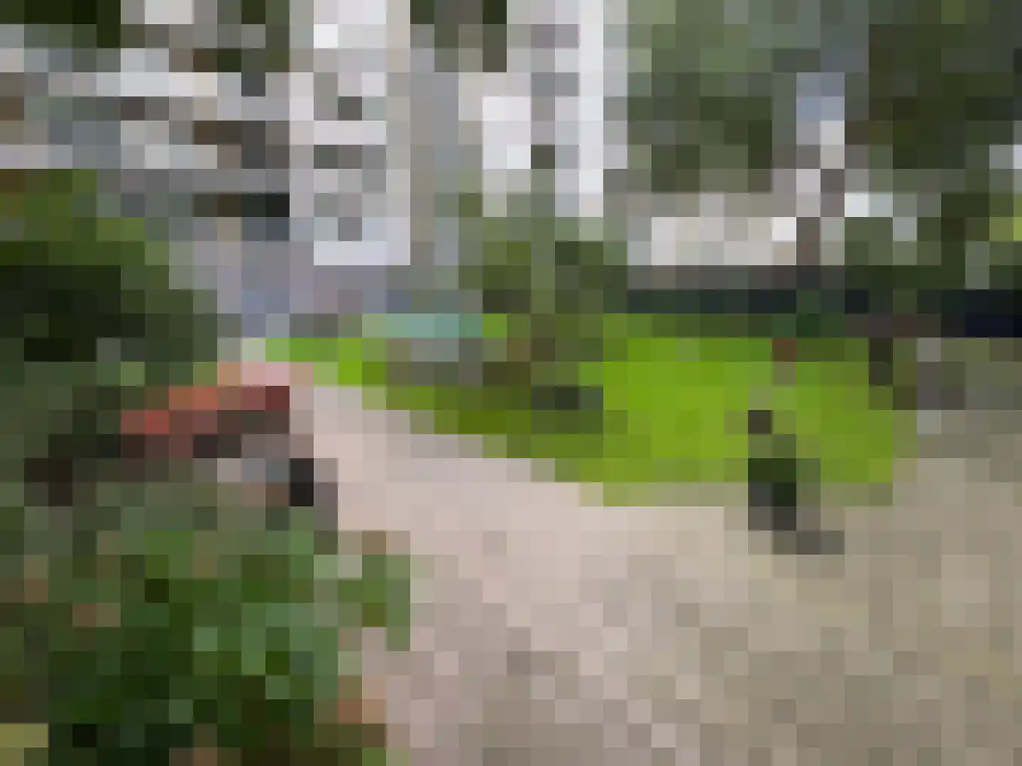 Thomas Mannplaats 404 Rotterdam thumbnail 36