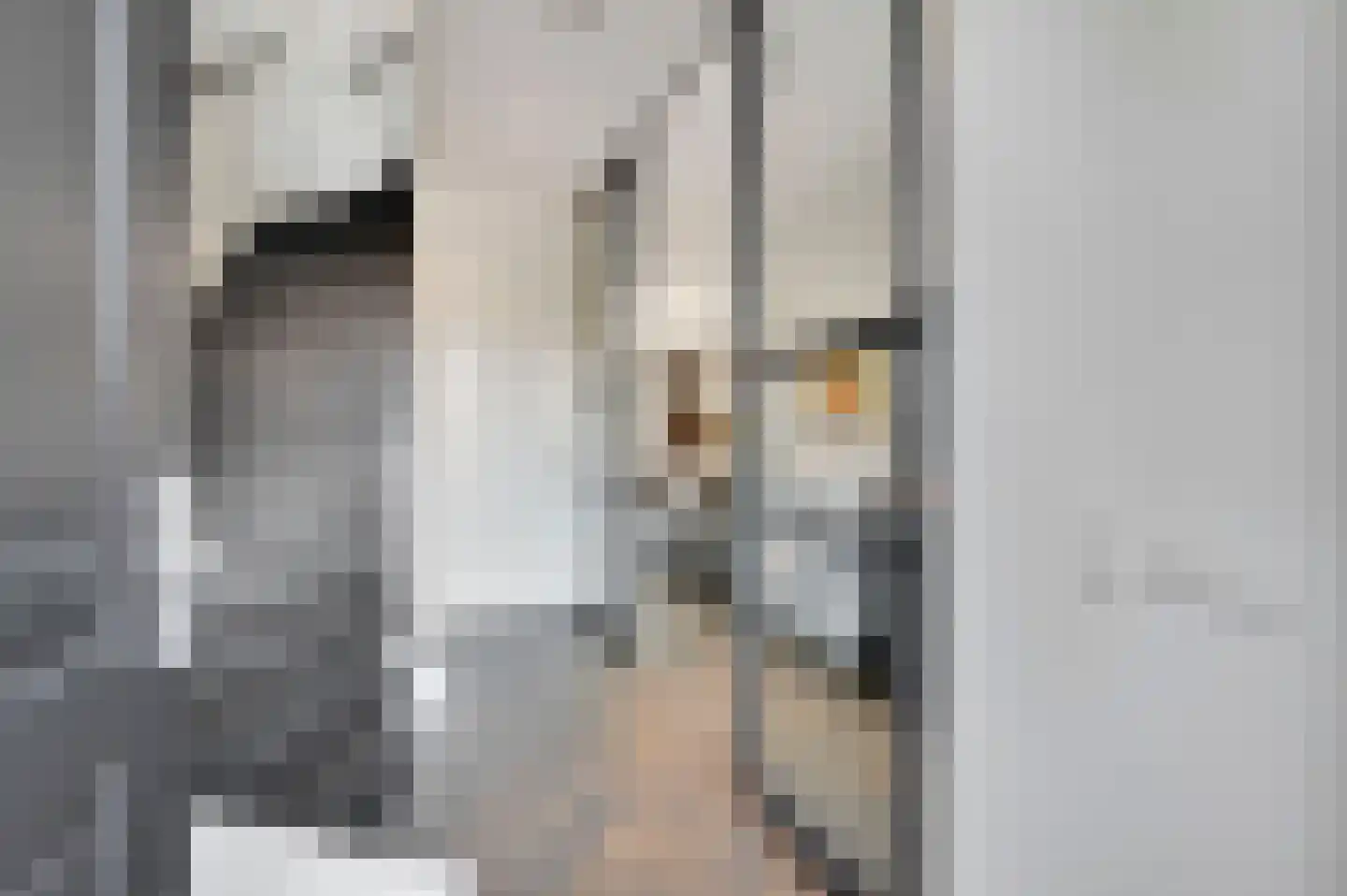 Thomas Mannsingel 100 Den Haag thumbnail 12