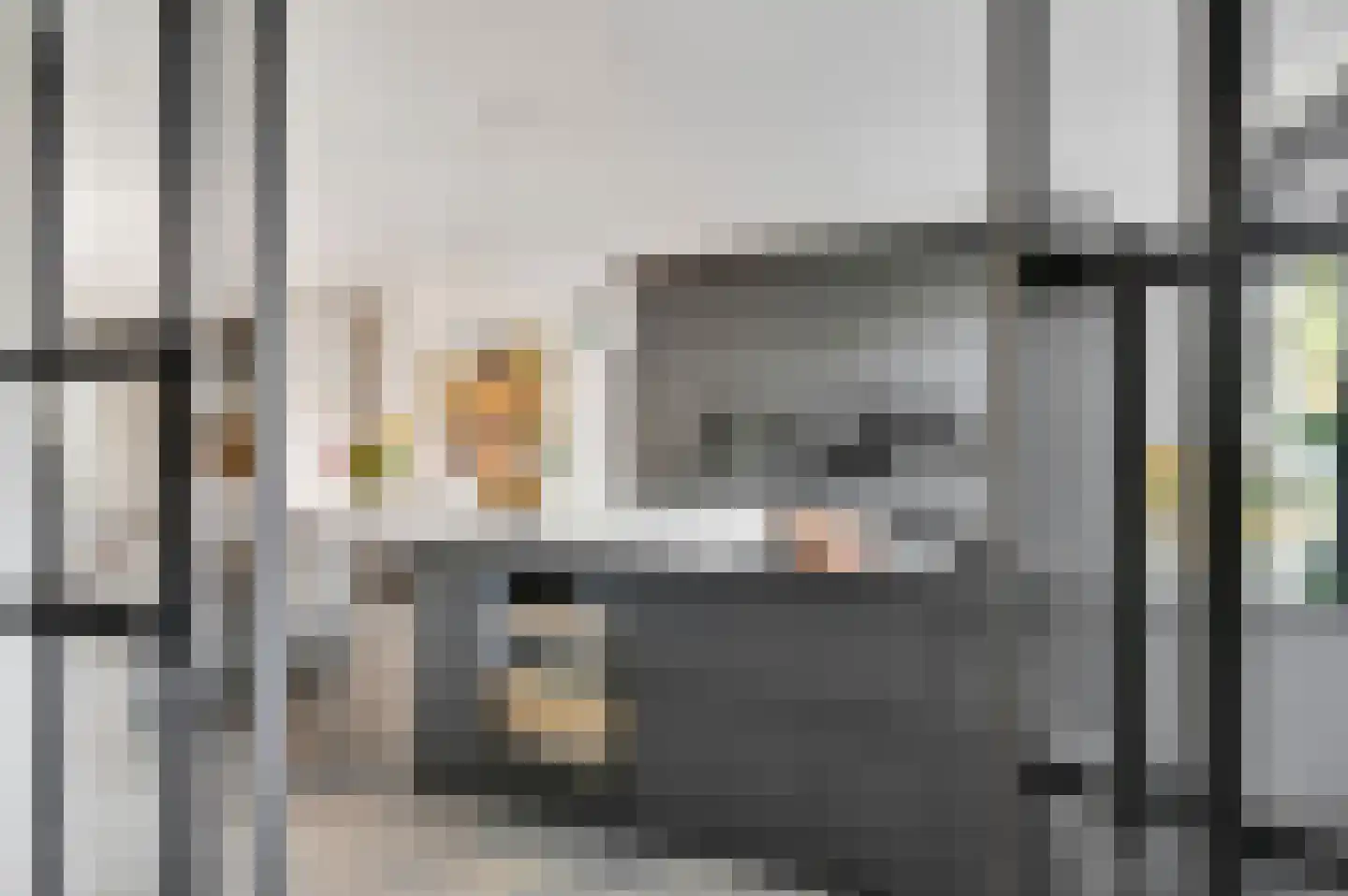Thomas Mannsingel 100 Den Haag thumbnail 13