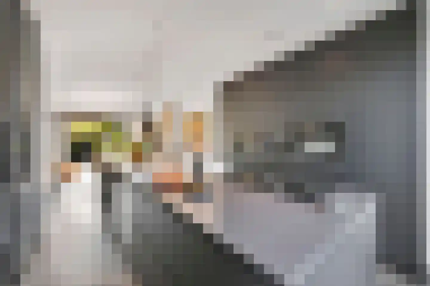 Thomas Mannsingel 100 Den Haag thumbnail 15