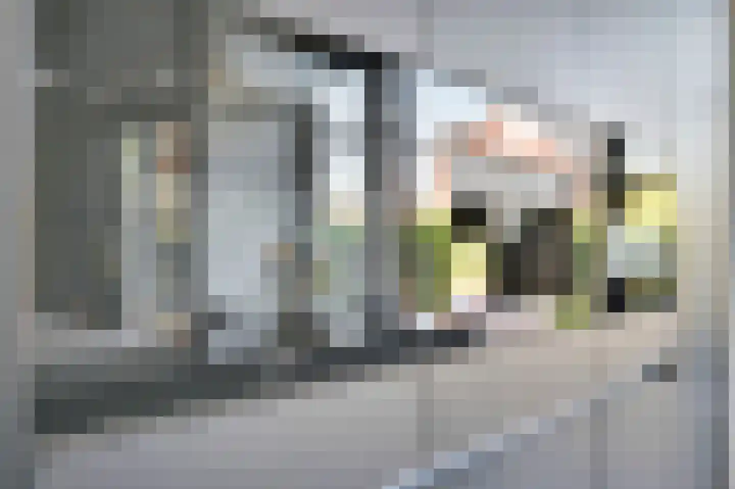 Thomas Mannsingel 100 Den Haag thumbnail 17