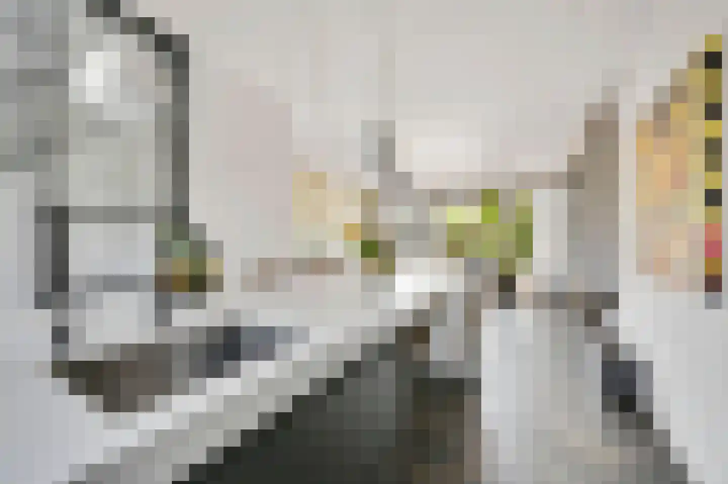 Thomas Mannsingel 100 Den Haag thumbnail 19