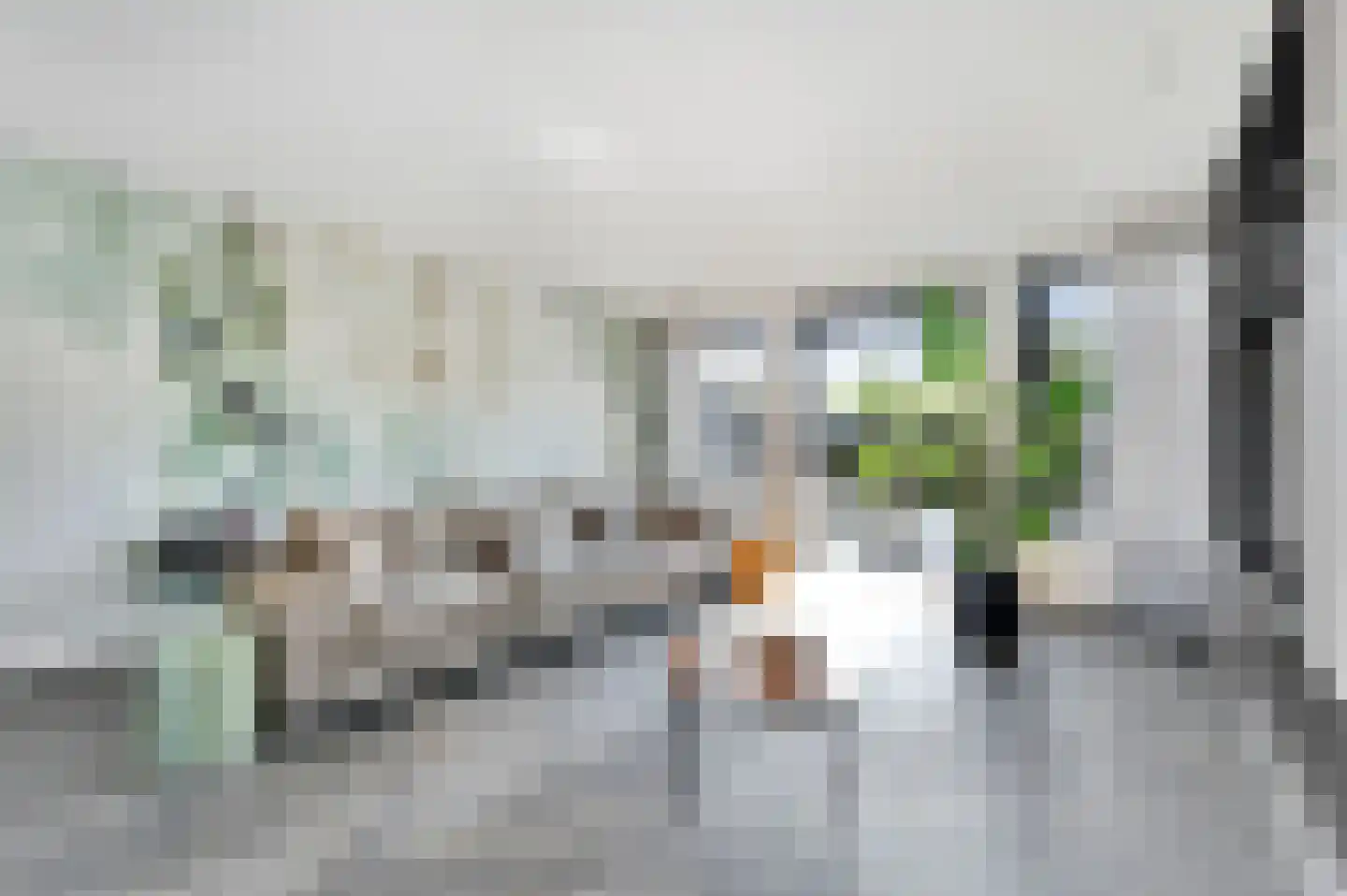 Thomas Mannsingel 100 Den Haag thumbnail 20