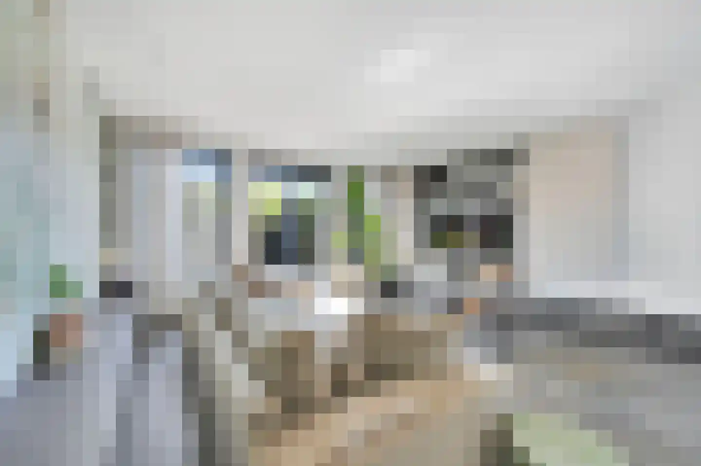 Thomas Mannsingel 100 Den Haag thumbnail 21