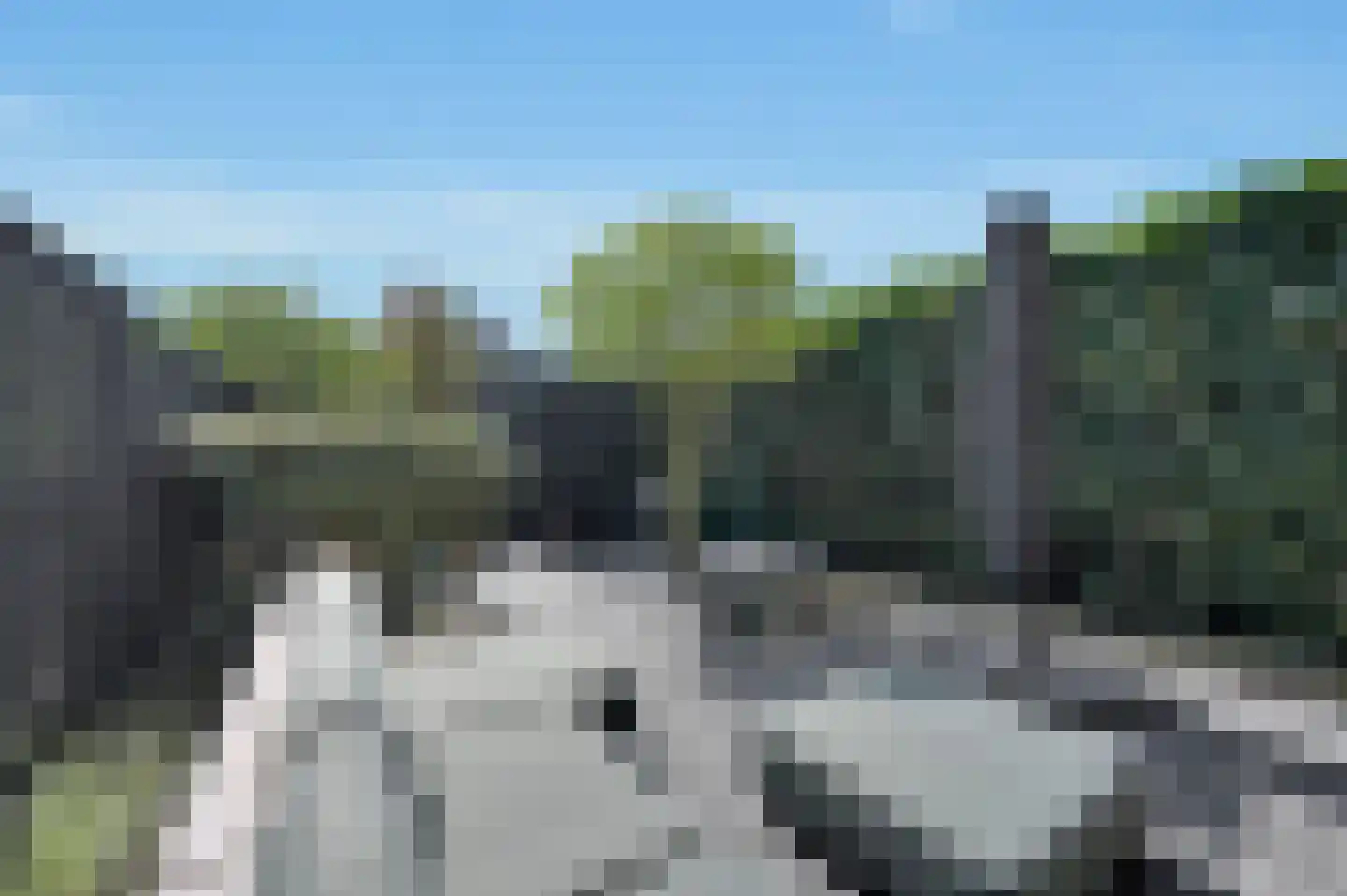 Thomas Mannsingel 100 Den Haag thumbnail 23