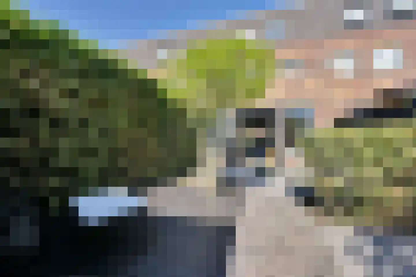 Thomas Mannsingel 100 Den Haag thumbnail 25