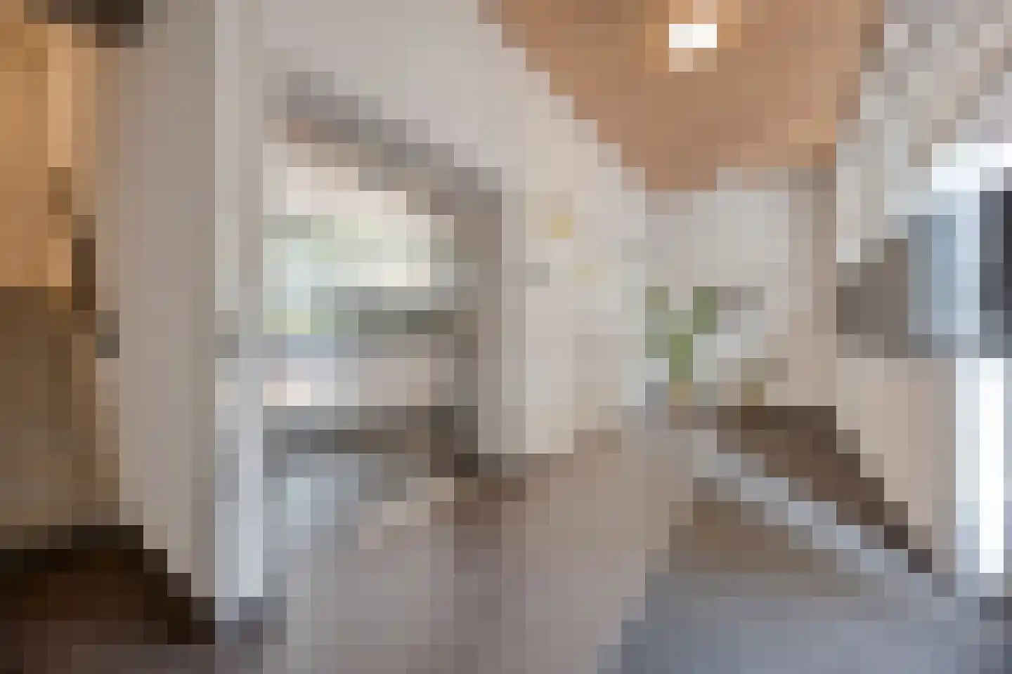 Thomas Mannsingel 16 E Den Haag thumbnail 7