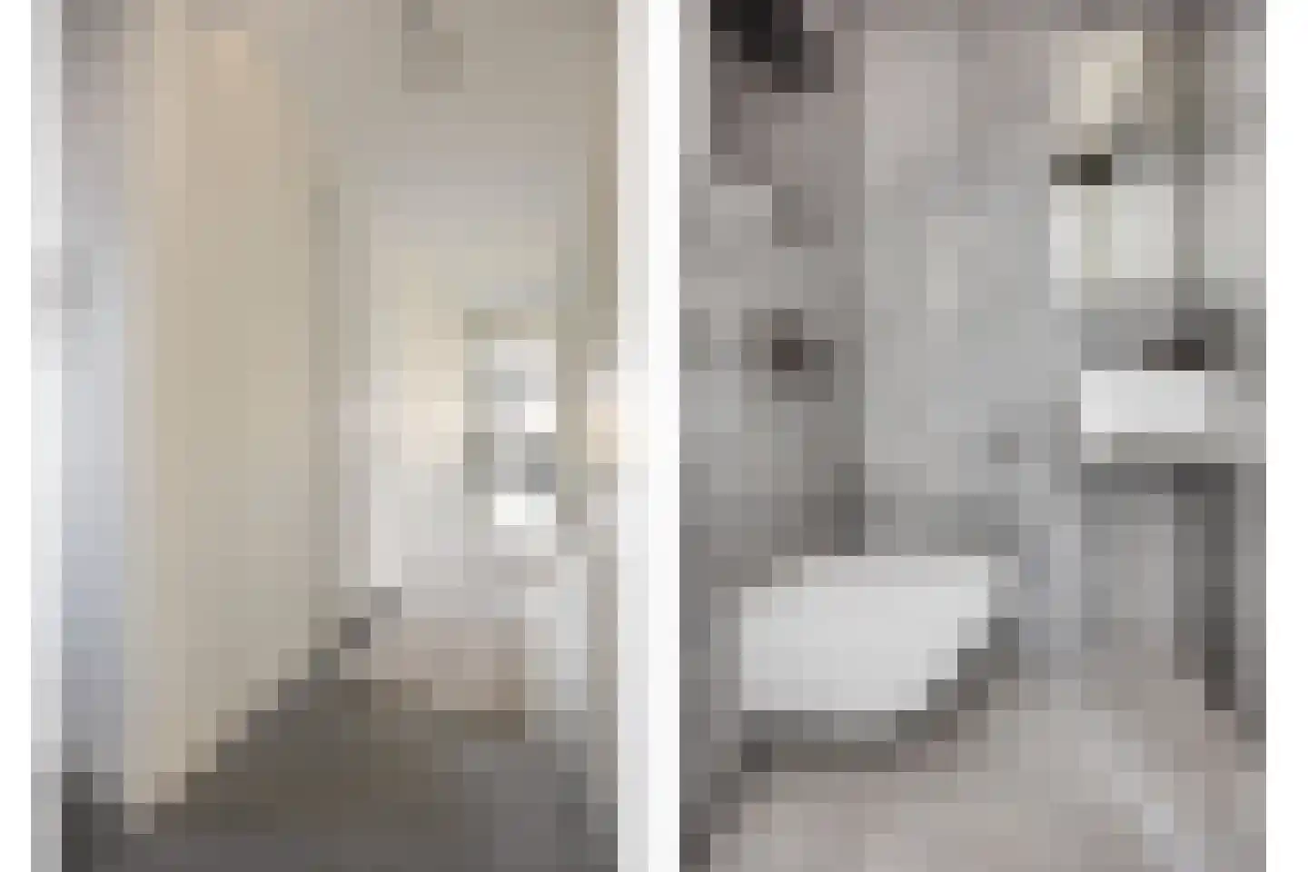 Thomas Mannsingel 16 E Den Haag thumbnail 9