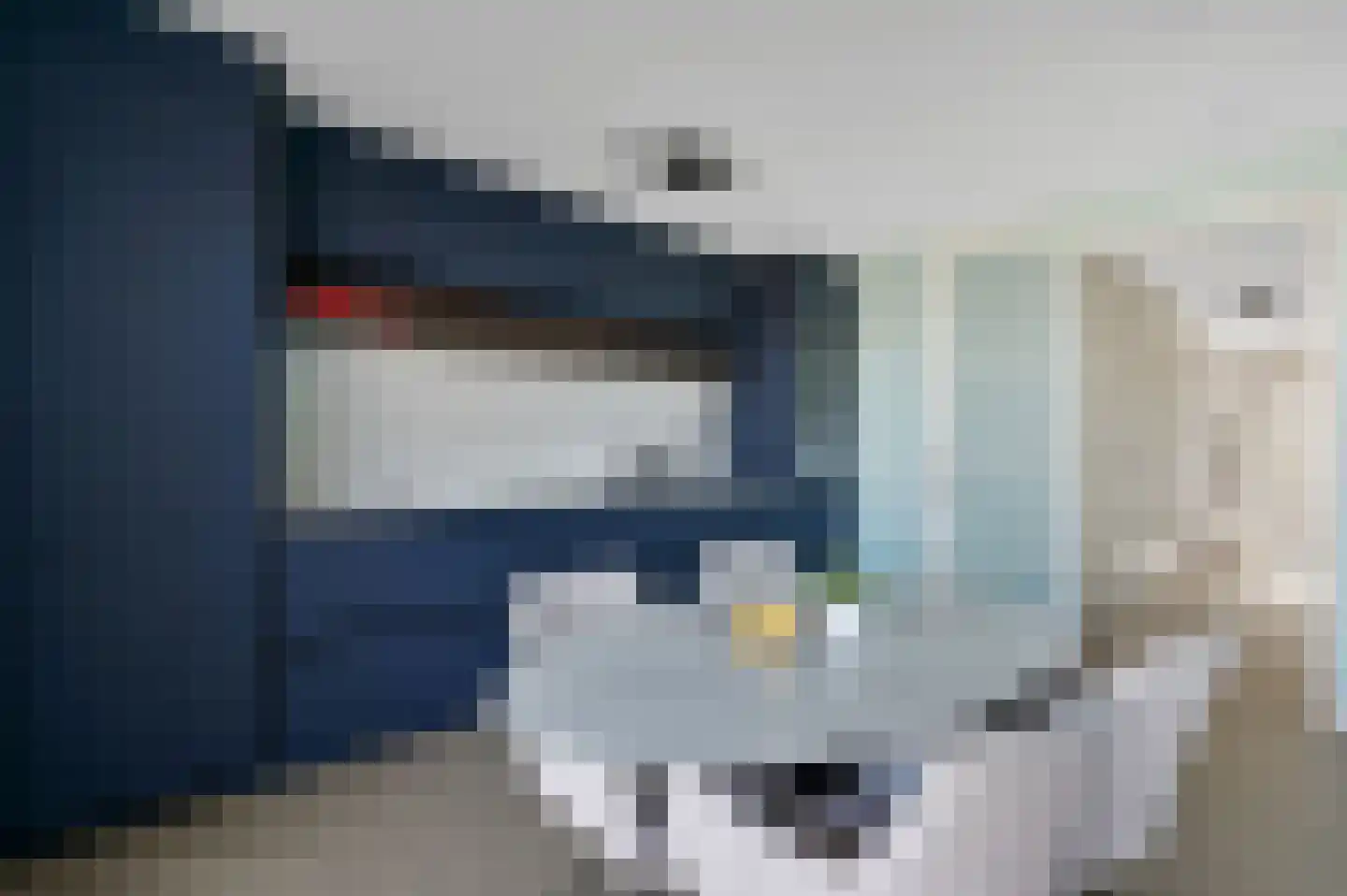 Thomas Mannsingel 16 F Den Haag thumbnail 19