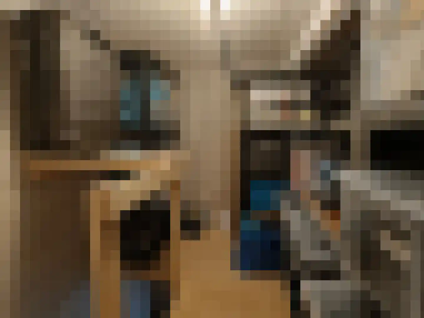 Thomas Mannsingel 18 A Den Haag thumbnail 35