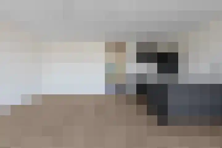 Thomas Mannsingel 18 J Den Haag thumbnail 9