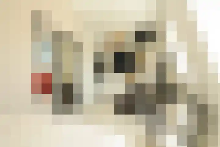 Thomas Mannsingel 44 Den Haag thumbnail 44