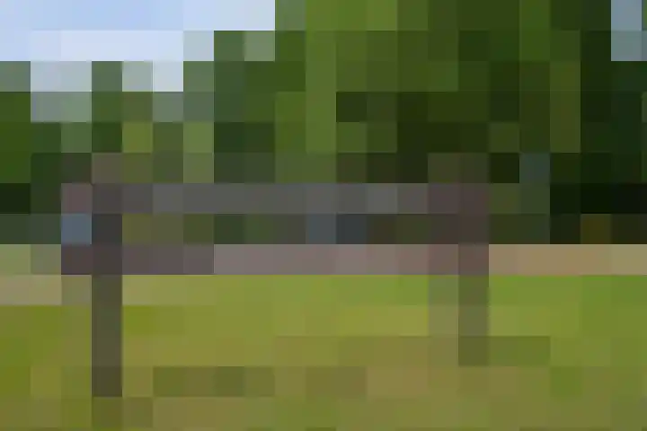 Thomas Mannsingel 44 Den Haag thumbnail 52